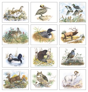 Good Value Wildlife Trek - Spiral Calendar month image