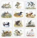 Good Value Wildlife Trek - Spiral Calendar month image