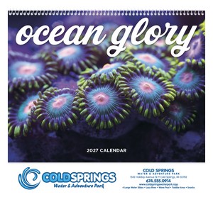 Good Value Ocean Glory - Spiral Calendar cover image