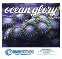 Good Value Ocean Glory - Spiral Calendar cover image