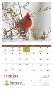 Good Value Birds of North America - Spiral Calendar open image