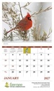Good Value Birds of North America - Spiral Calendar open image