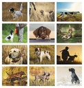 Good Value Sporting Dogs - Spiral Calendar month image