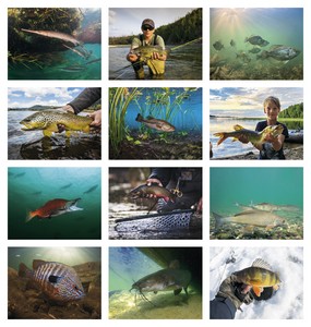 Good Value Fishing - Spiral Calendar month image