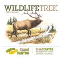 Good Value Wildlife Trek - Stapled Calendar cover image