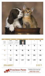 Good Value Puppies & Kittens - Stapled Calendar open image