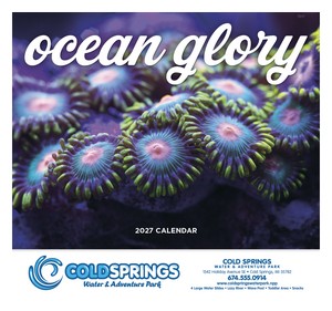Good Value Ocean Glory - Stapled Calendar cover image