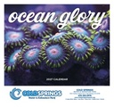 Good Value Ocean Glory - Stapled Calendar cover image