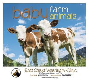 Good Value Baby Farm Animals - Stapled Calendar cover image