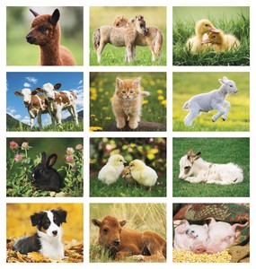 Good Value Baby Farm Animals - Stapled Calendar month image
