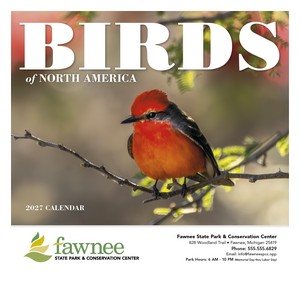 Good Value Birds of North America - Stapled Calendar cover image
