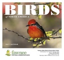 Good Value Birds of North America - Stapled Calendar cover image