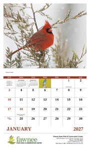 Good Value Birds of North America - Stapled Calendar open image