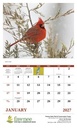 Good Value Birds of North America - Stapled Calendar open image