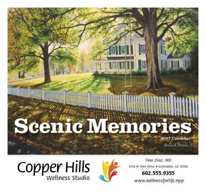 Good Value Scenic Memories - Stapled Calendar cover image