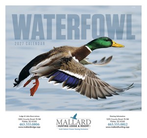 Good Value Waterfowl - Stapled Calendar cover image