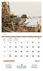 Good Value Waterfowl - Stapled Calendar open image