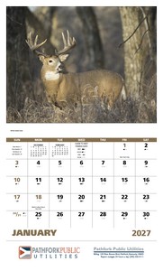 Good Value Wildlife Portraits - Stapled Calendar open image