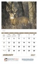 Good Value Wildlife Portraits - Stapled Calendar open image