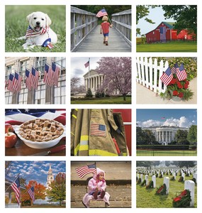Good Value Celebrate America - Stapled Calendar month image