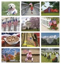 Good Value Celebrate America - Stapled Calendar month image