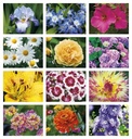 Good Value Flowers - Stapled Calendar month image
