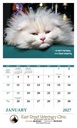 Good Value Pets with Attitude - Stapled Calendar open image