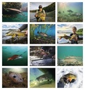 Good Value Fishing - Stapled Calendar month image