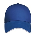7365 Royal/Royal/White