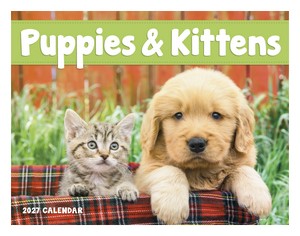 Good Value Puppies & Kittens - Window Calendar cover image