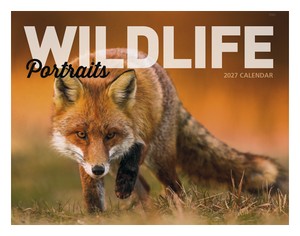 Good Value Wildlife Portraits - Window Calendar cover image