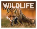 Good Value Wildlife Portraits - Window Calendar cover image
