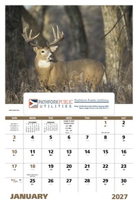 Good Value Wildlife Portraits - Window Calendar open image