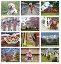 Good Value Celebrate America - Window Calendar month image