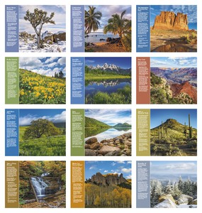 Good Value Healthy Living - Window Calendar month image