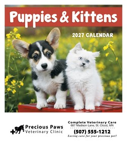Good Value Puppies & Kittens - Mini Calendar cover image