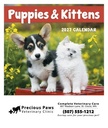 Good Value Puppies & Kittens - Mini Calendar cover image