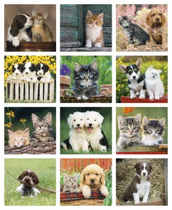 Good Value Puppies & Kittens - Mini Calendar month image