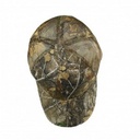 8305 MossyOak Break-Up