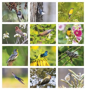 HotLine Products Songbirds Appointment Calendar - Stapled month image