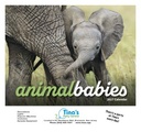 HotLine Products Animal Babies Appointment Calendar - Stapled cover image