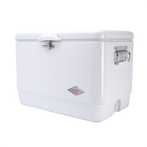 AC550 white angled image