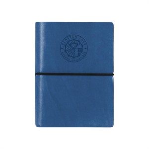 C356 blue image