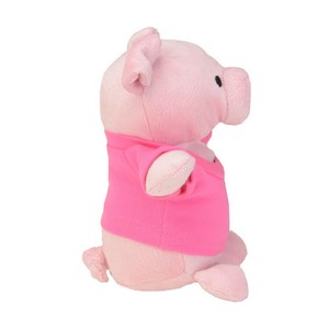 CT806 Pig - Side