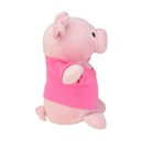 CT806 Pig - Side