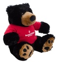 CT843 black image