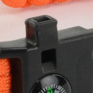 whistle