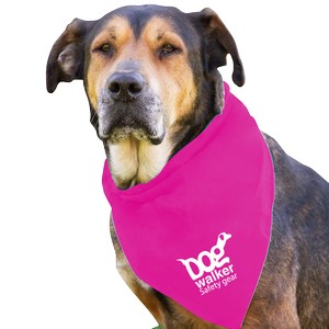 DB29_FUCHSIA_WHITE_1C.png