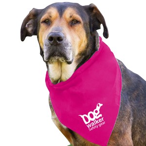 DB29_HOTPINK_WHITE_1C.png