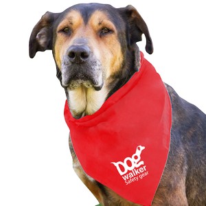 DB29_RED_WHITE_1C.png